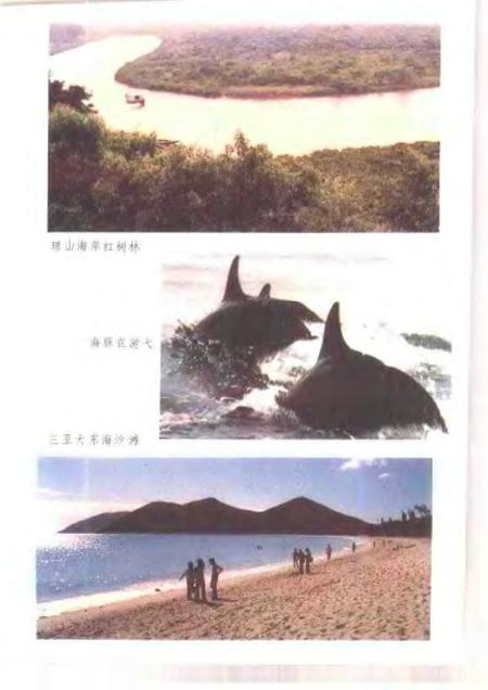《岭南海洋国土》.pdf电子版_其他志插图5 《岭南海洋国土》.pdf电子版_其他志插图5