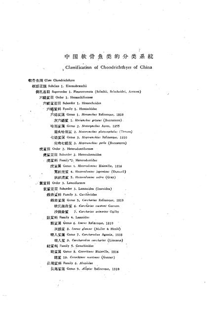 《中国软骨鱼类志》.pdf电子版_其他志插图4 《中国软骨鱼类志》.pdf电子版_其他志插图4