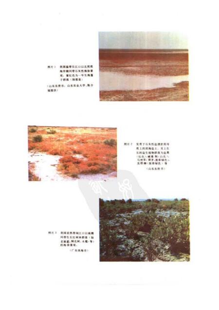《中国盐渍土》.pdf电子版_其他志插图2