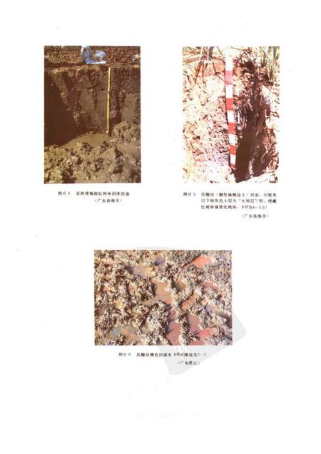 《中国盐渍土》.pdf电子版_其他志插图3