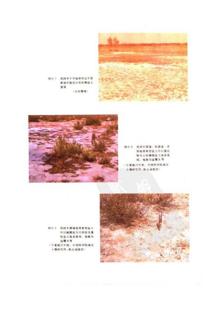 《中国盐渍土》.pdf电子版_其他志插图4