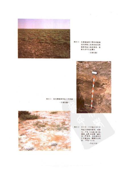 《中国盐渍土》.pdf电子版_其他志插图5