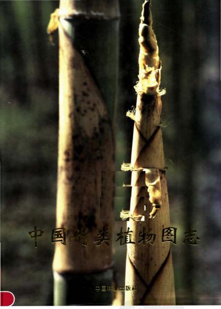 《中国竹类植物图志》.pdf电子版_其他志
