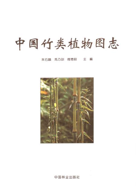 《中国竹类植物图志》.pdf电子版_其他志插图2