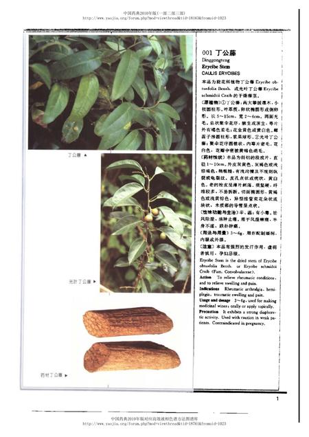 《中华人民共和国药典中药彩色图集_部分1》.pdf电子版_其他志插图5 《中华人民共和国药典中药彩色图集_部分1》.pdf电子版_其他志插图5