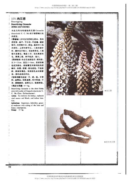《中华人民共和国药典中药彩色图集_部分2》.pdf电子版_其他志插图2 《中华人民共和国药典中药彩色图集_部分2》.pdf电子版_其他志插图2