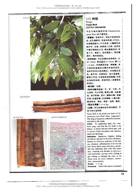 《中华人民共和国药典中药彩色图集_部分2》.pdf电子版_其他志插图3 《中华人民共和国药典中药彩色图集_部分2》.pdf电子版_其他志插图3