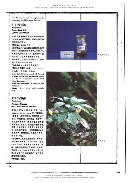 《中华人民共和国药典中药彩色图集_部分2》.pdf电子版_其他志插图4 《中华人民共和国药典中药彩色图集_部分2》.pdf电子版_其他志插图4