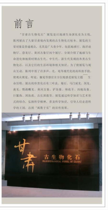 《博物馆 古生物化石》.pdf电子版_其他志插图2