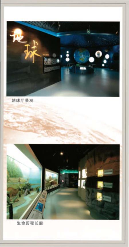 《博物馆 古生物化石》.pdf电子版_其他志插图4