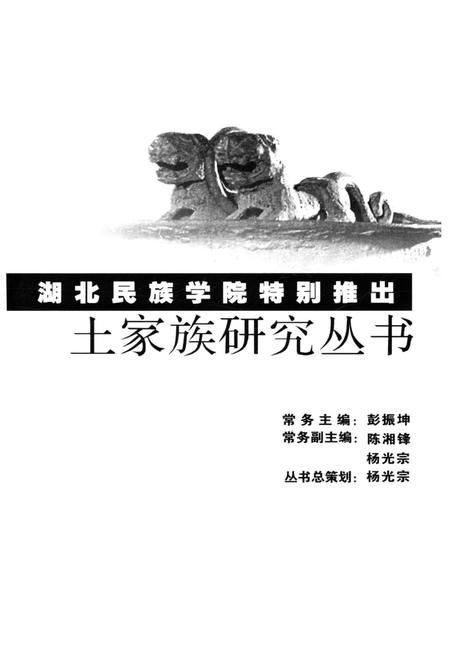 《土家族区域经济发展史》.pdf电子版_其他志插图3