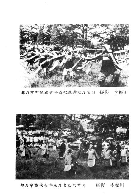 《黔南民族节日通览》.pdf电子版_其他志插图2