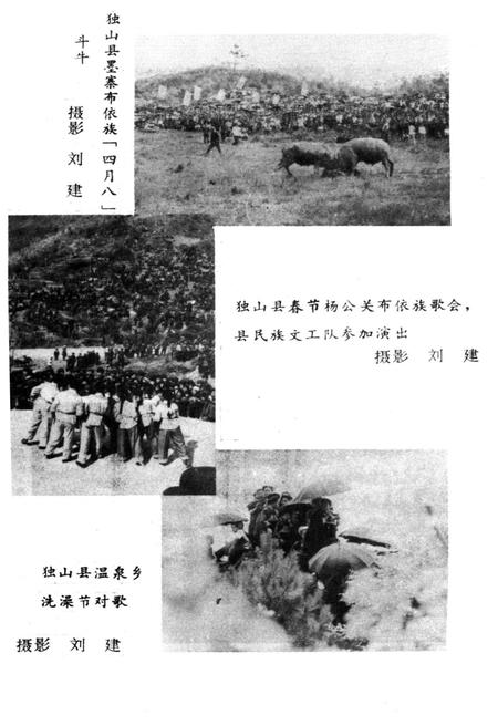《黔南民族节日通览》.pdf电子版_其他志插图3