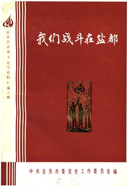 《我们战斗在盐都 下》.pdf电子版_其他志插图