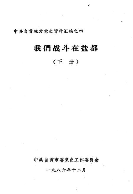 《我们战斗在盐都 下》.pdf电子版_其他志插图1