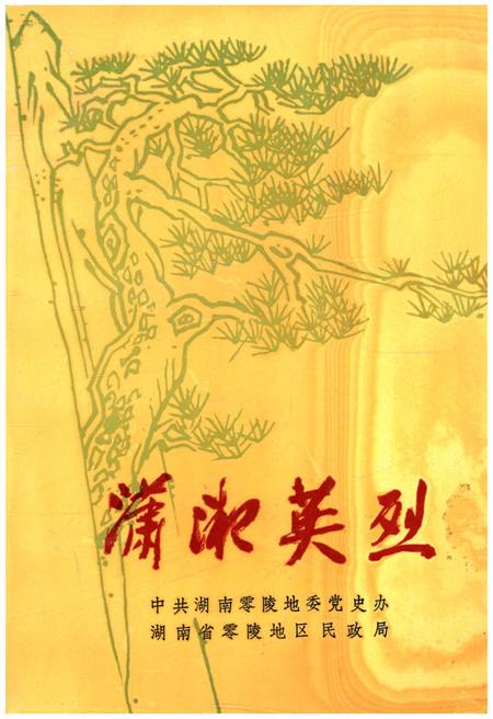 《潇湘英烈》.pdf电子版_其他志插图