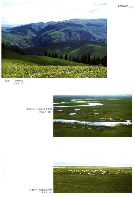 《中国草业史》.pdf电子版_其他志插图5