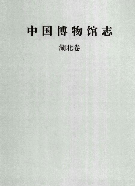 《中国博物馆志第5册湖北卷云南卷海南卷》.pdf电子版_其他志插图4