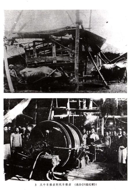 《中国盐业史 近代 当代编》.pdf电子版_其他志插图5 《中国盐业史 近代 当代编》.pdf电子版_其他志插图5