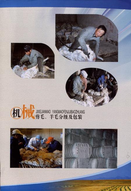 《青海省三角城种羊场志》.pdf电子版_青海省志插图4