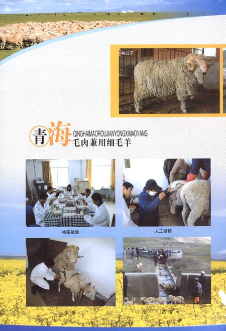 《青海省三角城种羊场志》.pdf电子版_青海省志插图5