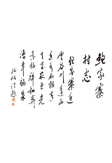 《鲍家寨村志》.pdf电子版_青海省志插图2