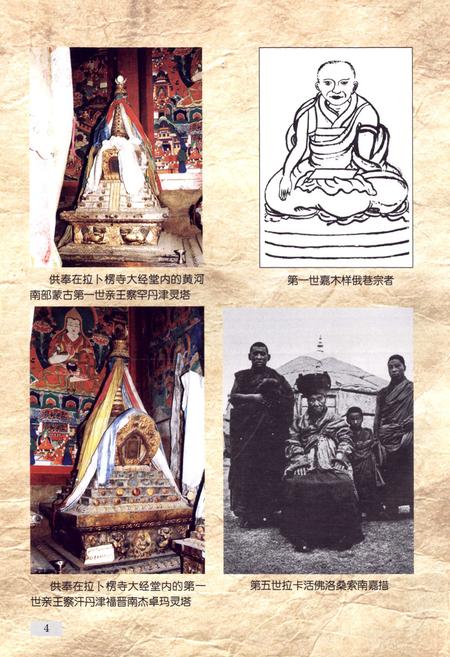 《黄河南蒙古志》.pdf电子版_青海省志插图5