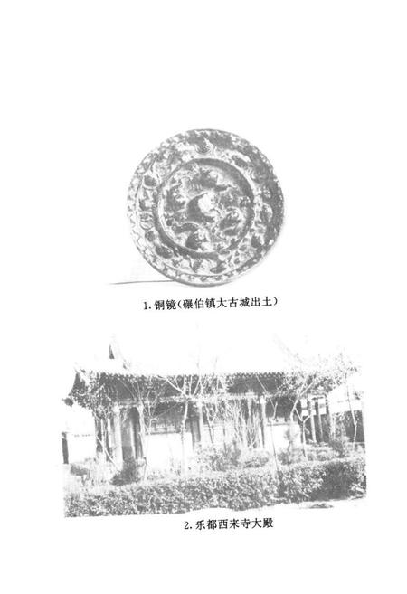 《乐都县文物志》.pdf电子版_青海省志插图4
