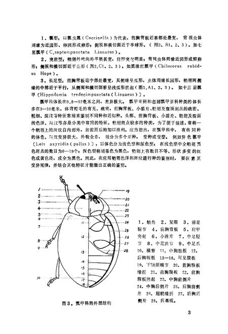 《青海经济昆虫图志·瓢甲科》.pdf电子版_青海省志插图5