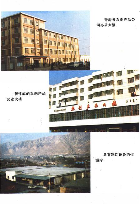 《青海省农副产品公司企业志(1962-1988)》.pdf电子版_青海省志插图5