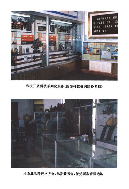 《青海省农牧生产资料公司企业志(1961-1988)》.pdf电子版_青海省志插图5