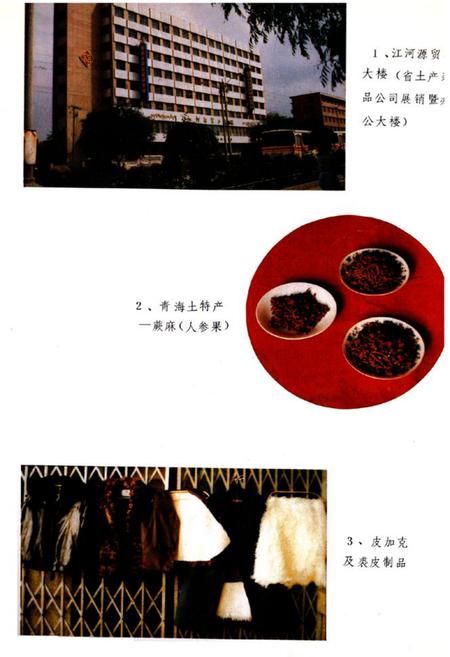 《青海省土产杂品公司企业志(1951-1985)》.pdf电子版_青海省志插图3