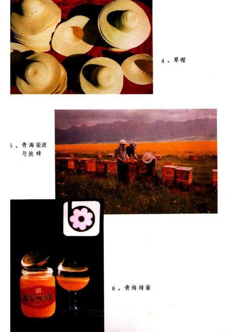 《青海省土产杂品公司企业志(1951-1985)》.pdf电子版_青海省志插图4