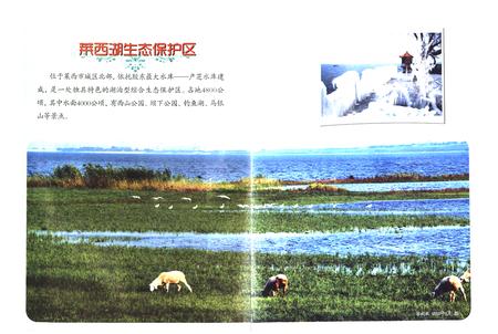 《《莱西市志(1988-2005)》》.pdf电子版_青海省志插图5