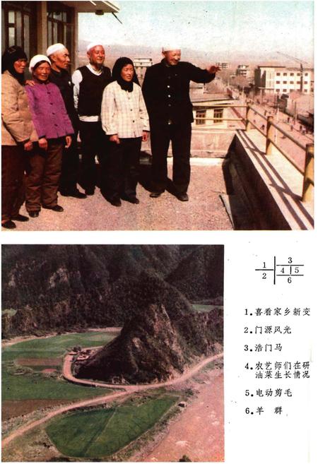 《门源回族自治县概况》.pdf电子版_青海省志插图4