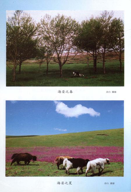 《海晏文史资料第三辑》.pdf电子版_青海省志插图5