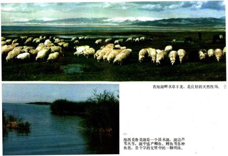 《青海风物志》.pdf电子版_青海省志插图5