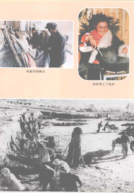 《黄南藏族自治州志  下》.pdf电子版_青海省志插图2