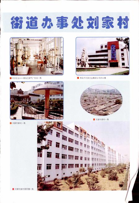 《山东强镇名村志》.pdf电子版_山东省志插图1