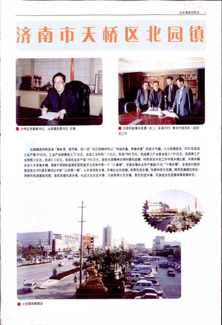 《山东强镇名村志》.pdf电子版_山东省志插图3