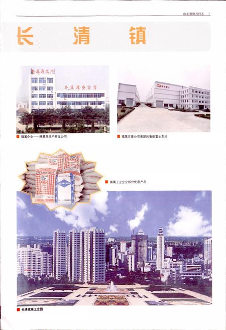 《山东强镇名村志》.pdf电子版_山东省志插图5