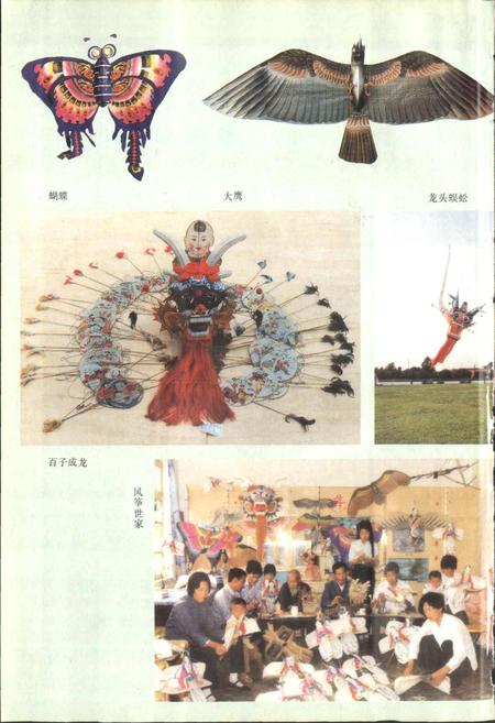 《杨家埠村志》.pdf电子版_山东省志插图5