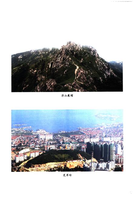 《徐家麦岛村志》.pdf电子版_山东省志插图4
