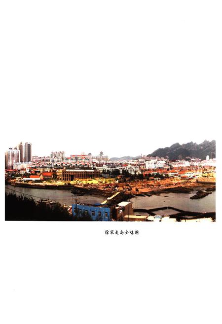 《徐家麦岛村志》.pdf电子版_山东省志插图5