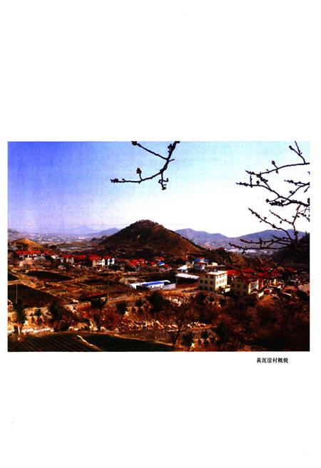 《黄泥崖村志》.pdf电子版_山东省志插图4
