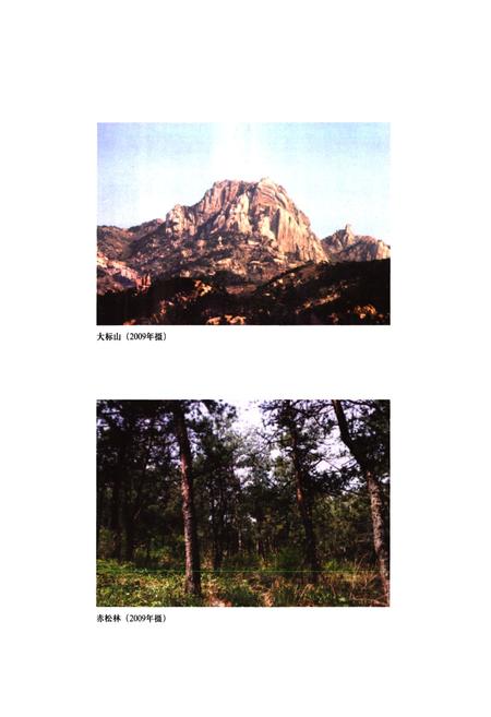 《黄泥崖村志》.pdf电子版_山东省志插图5
