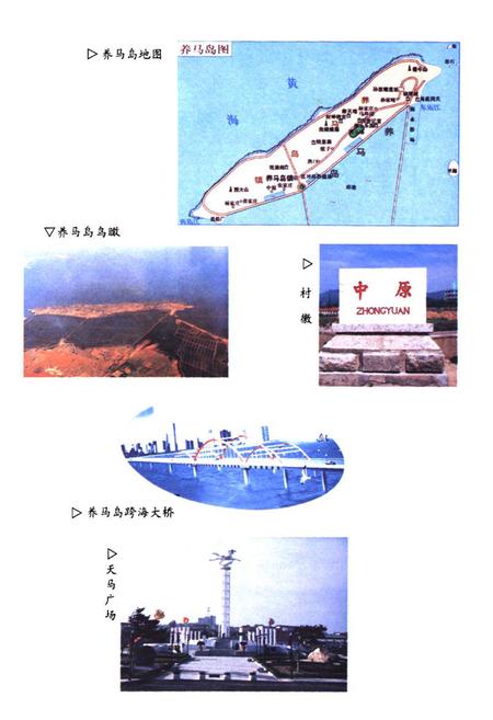 《中原村志》.pdf电子版_山东省志插图5