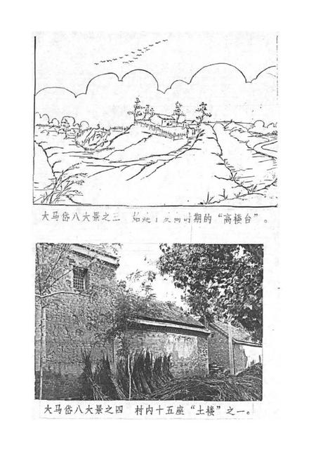 《大马岱村志》.pdf电子版_山东省志插图4 《大马岱村志》.pdf电子版_山东省志插图4