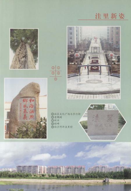 《洼里村志》.pdf电子版_山东省志插图3