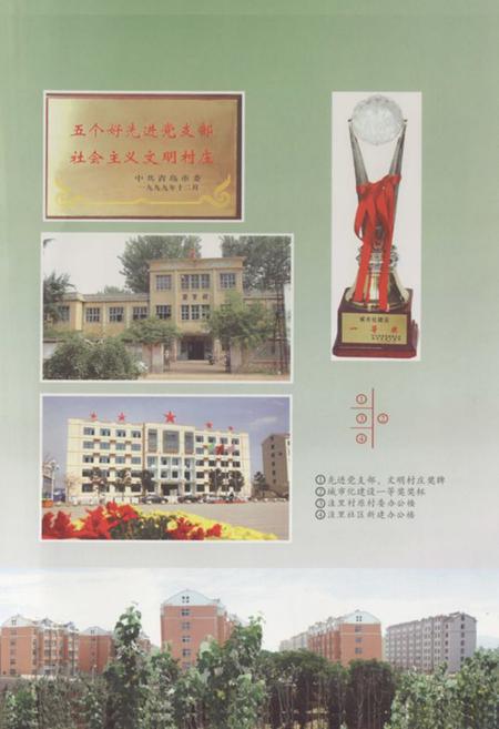 《洼里村志》.pdf电子版_山东省志插图5